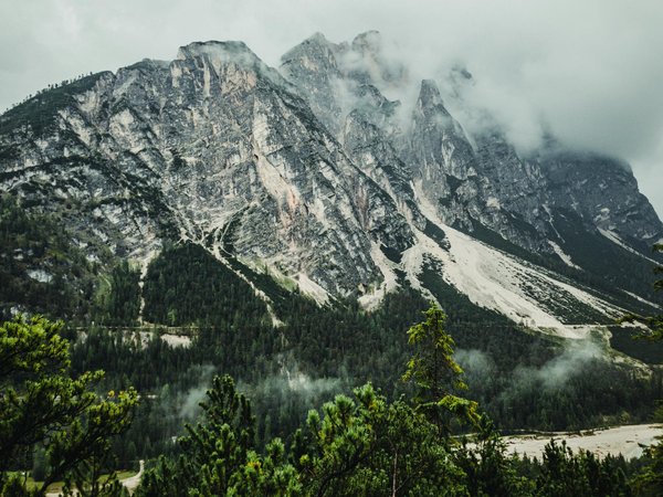 Quels sont les équipements indispensables pour un camping en région de forêts de chênes?