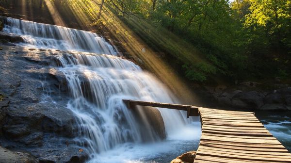Top 5 raisons d’aimer les cascades au Puy du Fou
