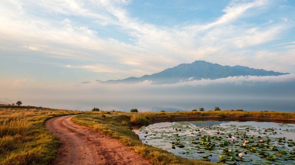Voyage : optimisez votre préparation pour des aventures mémorables